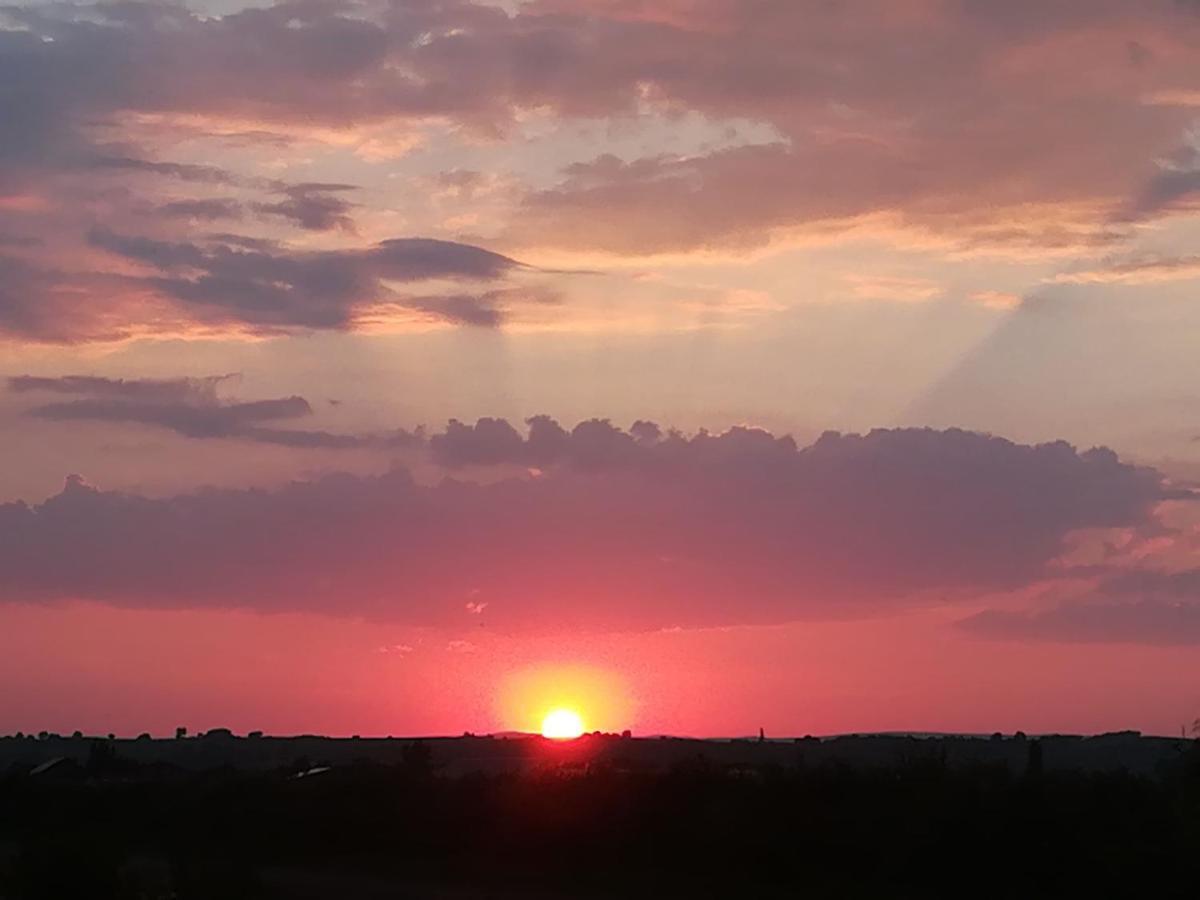Pfahlbau Sunset II Toplage Inklusive Elektroboot 拉斯特 外观 照片