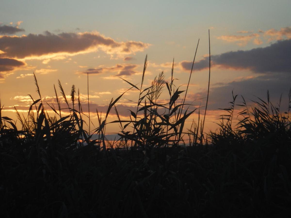 Pfahlbau Sunset II Toplage Inklusive Elektroboot 拉斯特 外观 照片