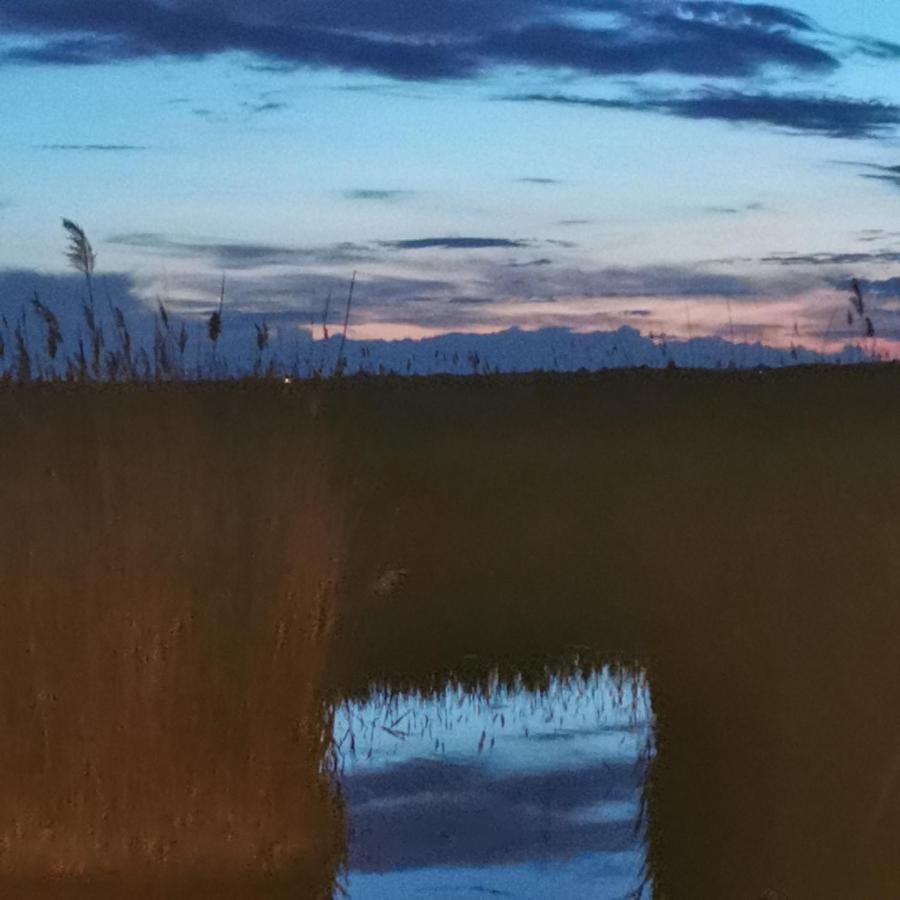 Pfahlbau Sunset II Toplage Inklusive Elektroboot 拉斯特 外观 照片